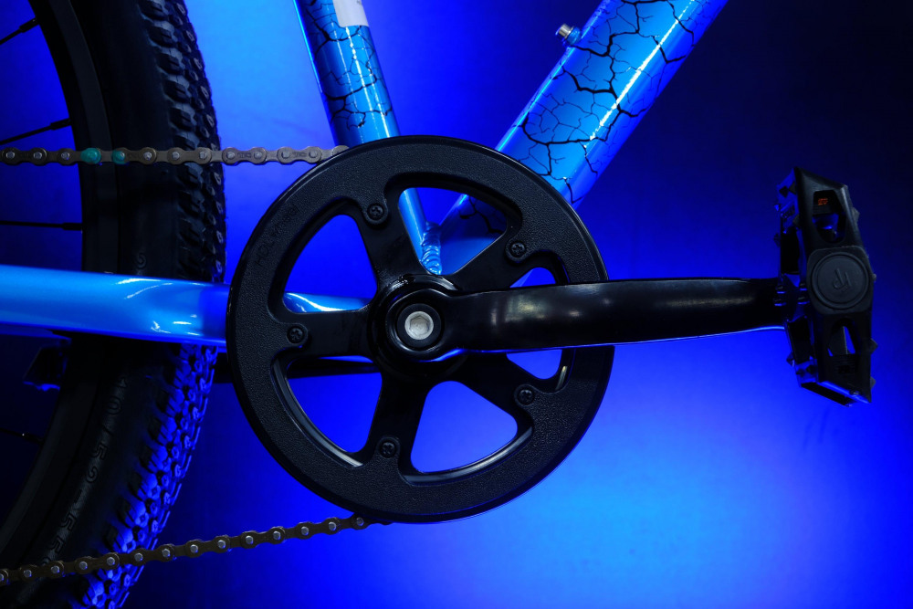 LORAK SHARK 26 GOLD Золотой синий