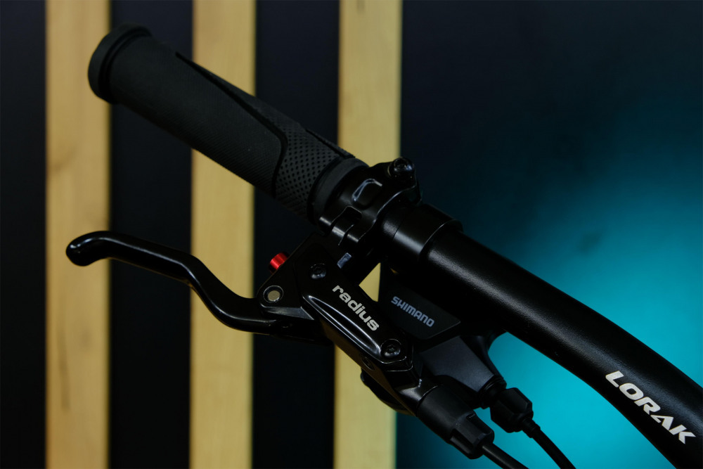 LORAK GLORY 180 HD Матовый Фиолетовый/Серый рама 19 (на рост 171-182)